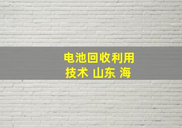 电池回收利用技术 山东 海